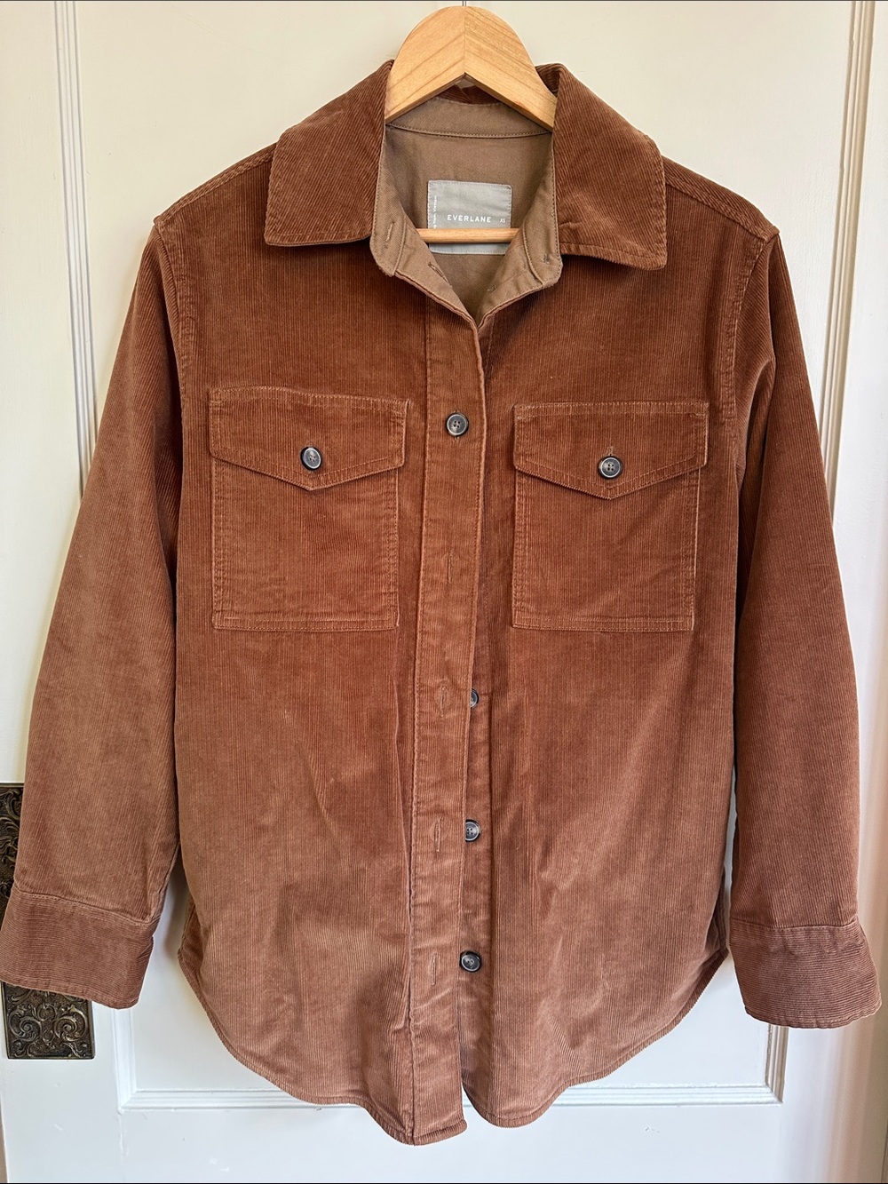 Everlane Corduroy Button-Up Jacket in Brown